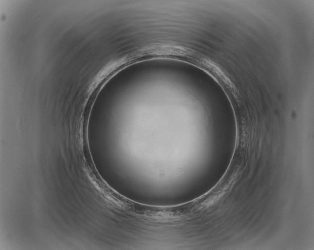 X0000083620986200702201311