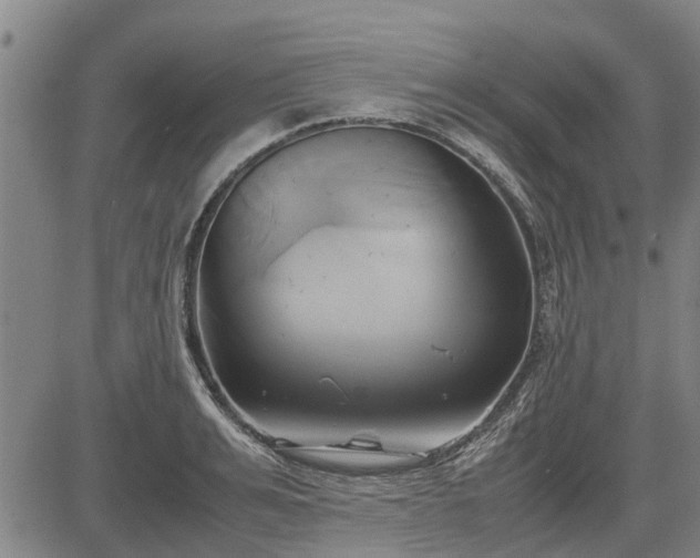 X0000083620991200702201311