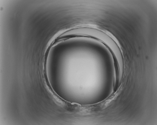 X0000083621005200702201311