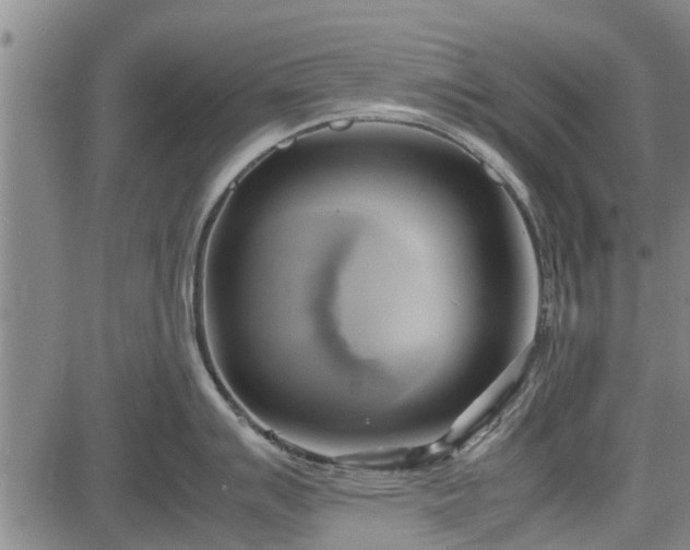 X0000083621007200702201311