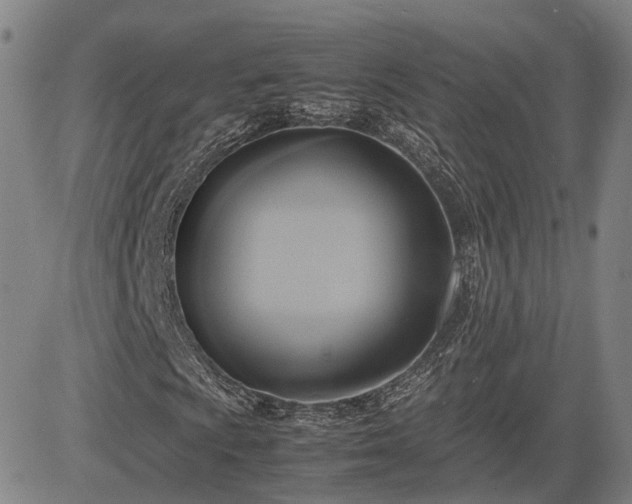 X0000083621009200702201310