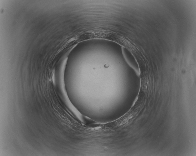 X0000083621010200702201310