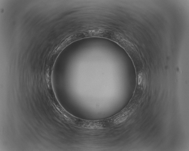 X0000083621011200702201310