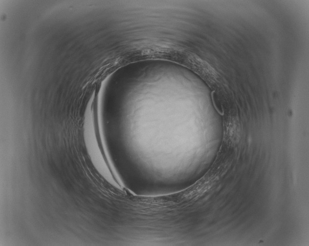 X0000083621012200702201310