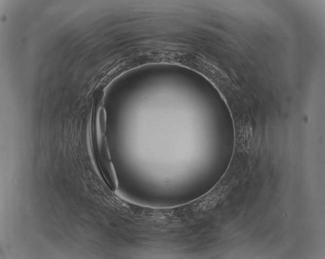 X0000083621013200702201310