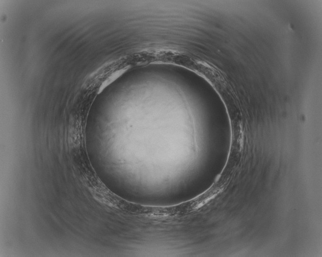 X0000083621014200702201310
