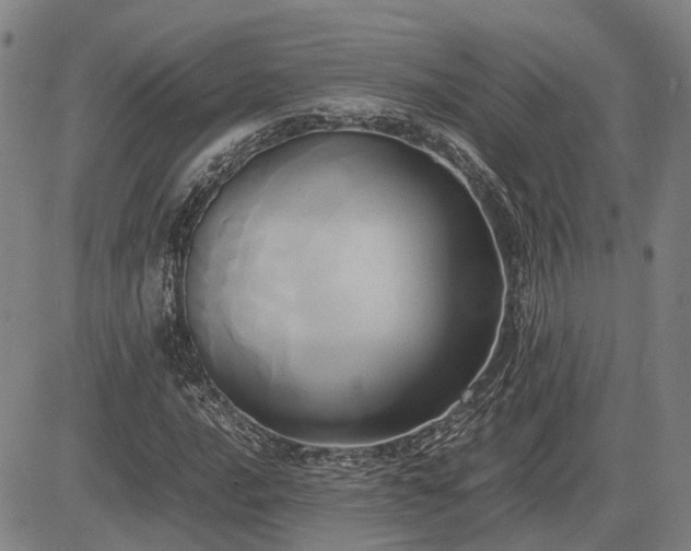 X0000083621016200702201310
