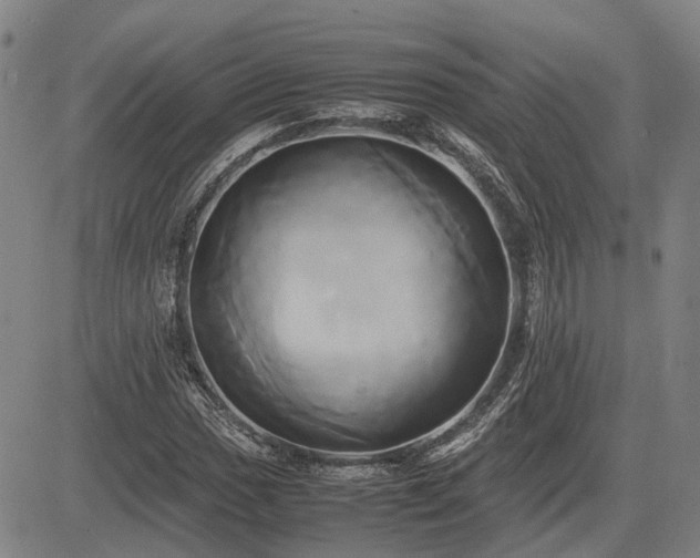 X0000083621017200702201310