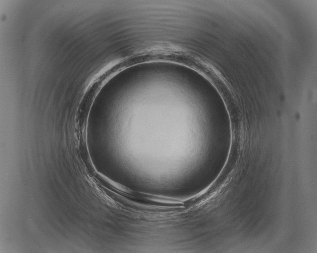 X0000083621018200702201310