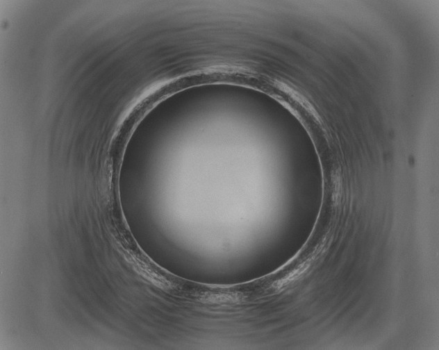 X0000083621021200702201310