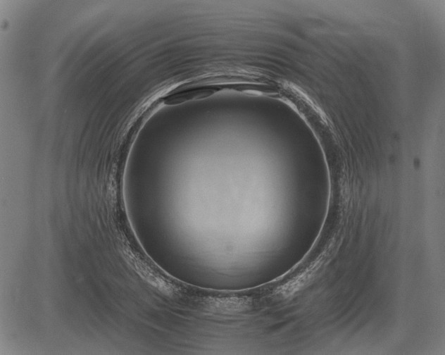 X0000083621025200702201310