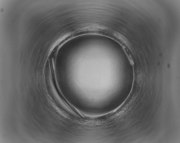X0000083621026200702201310