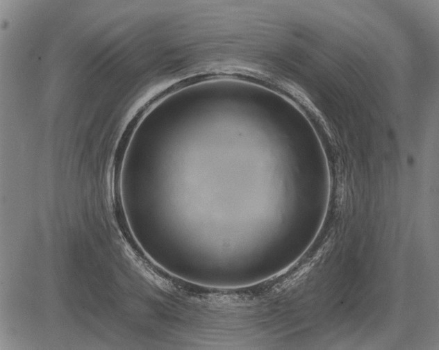 X0000083621032200702201310