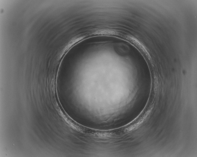 X0000083621041200702201311