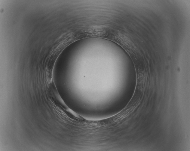 X0000083621058200702201310