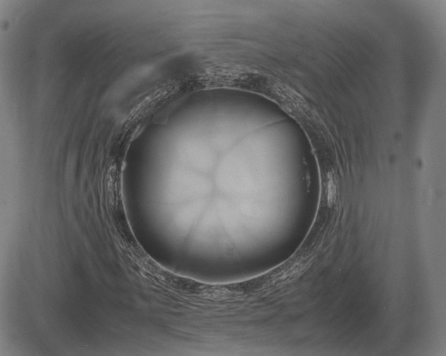 X0000083621059200702201310