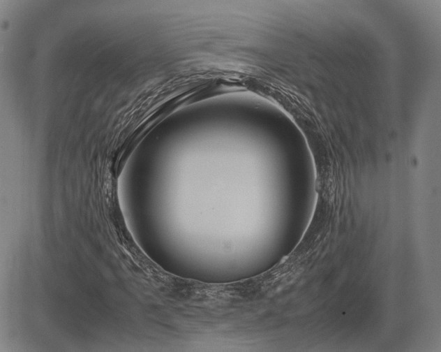 X0000083621061200702201310