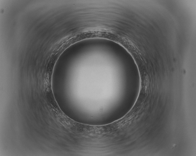 X0000083621062200702201310
