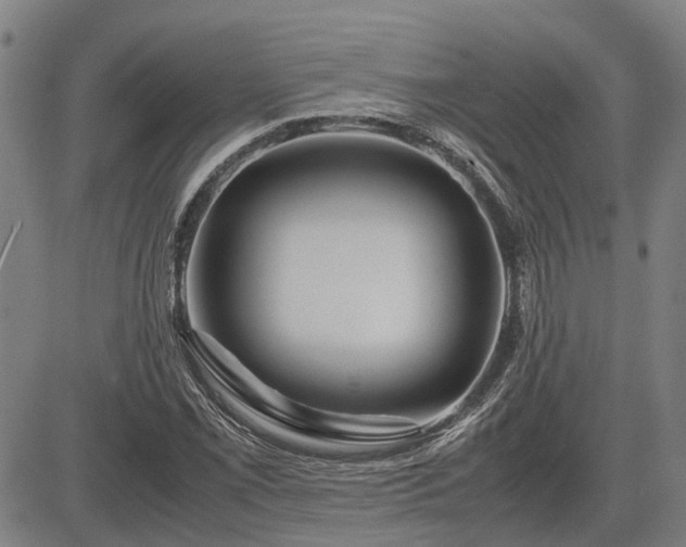 X0000083621069200702201310