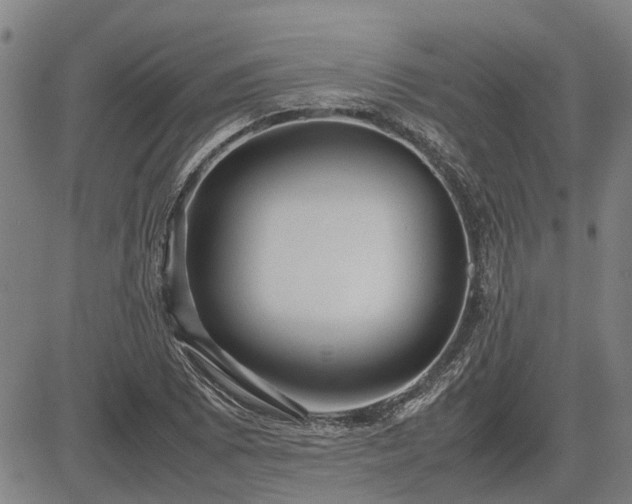 X0000083621073200702201310