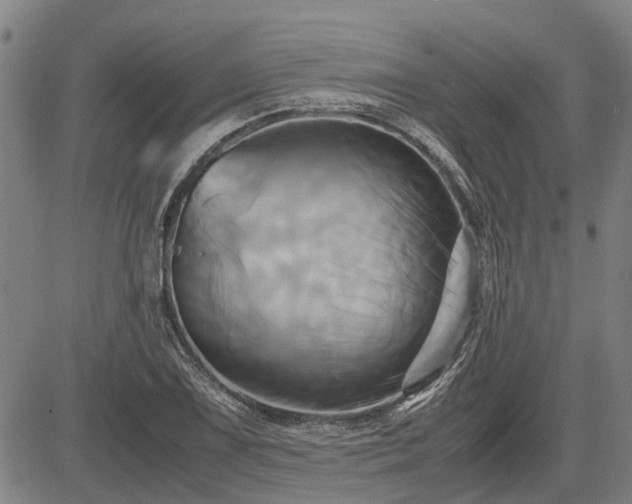 X0000083621075200702201310