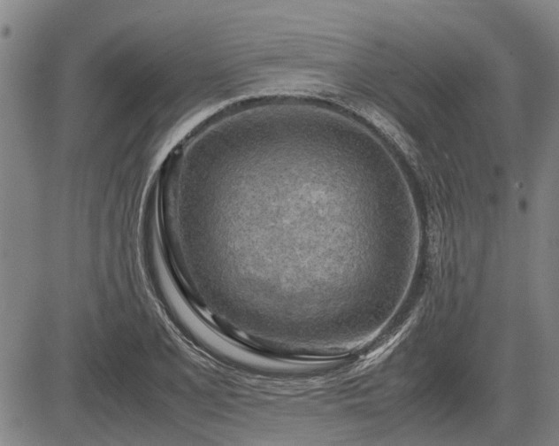 X0000083621077200702201310