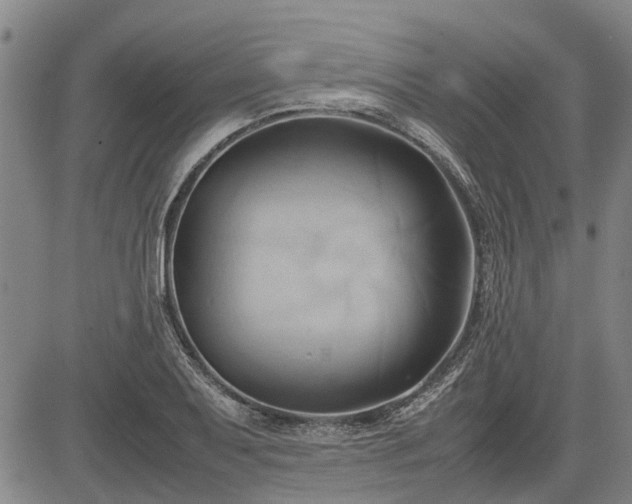 X0000083621079200702201310