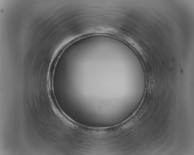X0000083621080200702201310