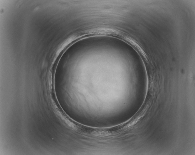X0000083621083200702201310