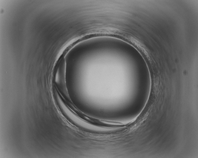 X0000083621085200702201310