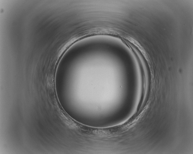 X0000083621089200702201310