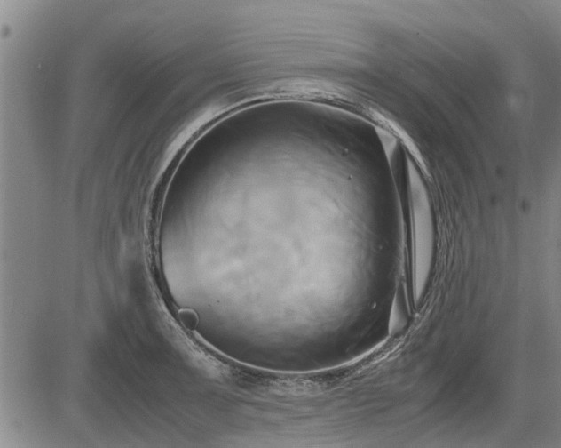 X0000083621091200702201309