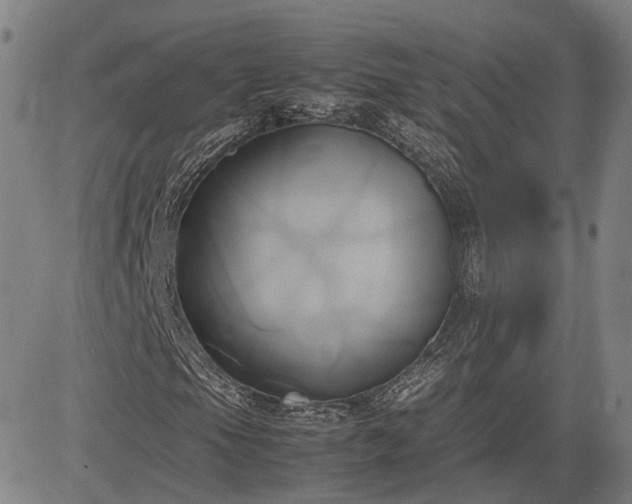 X0000083621105200702201308