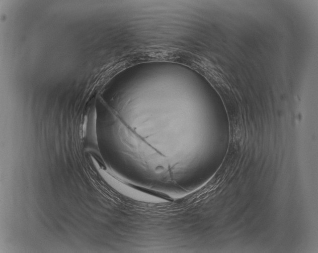 X0000083621106200702201308