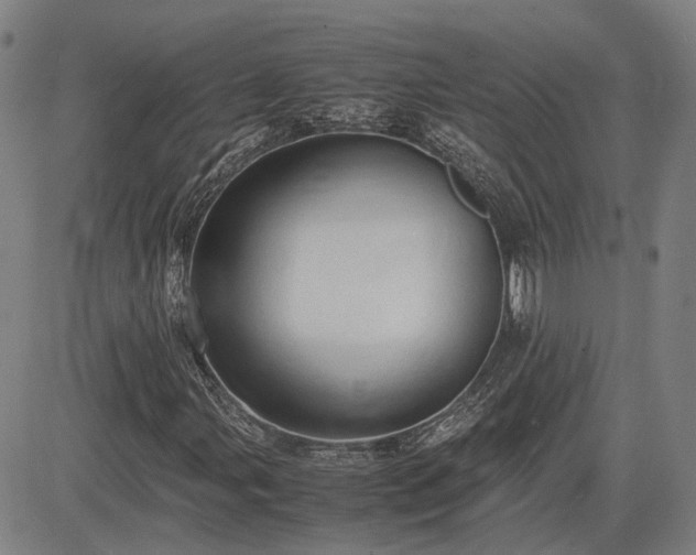 X0000083621107200702201308