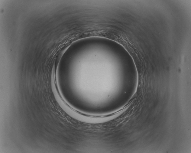 X0000083621109200702201309