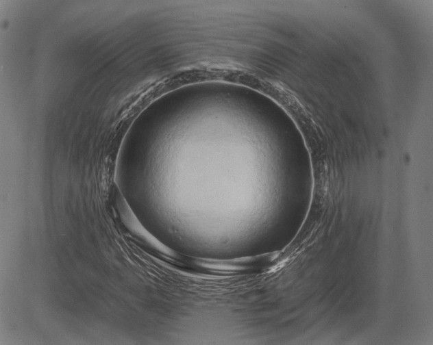 X0000083621110200702201309