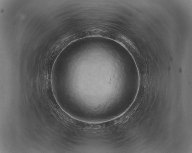 X0000083621111200702201309