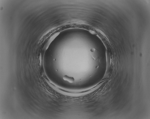 X0000083621112200702201309