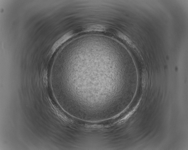 X0000083621113200702201309