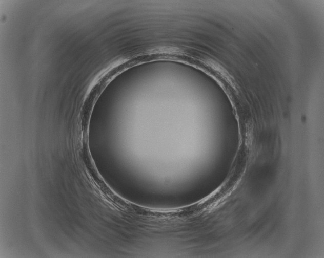 X0000083621117200702201309