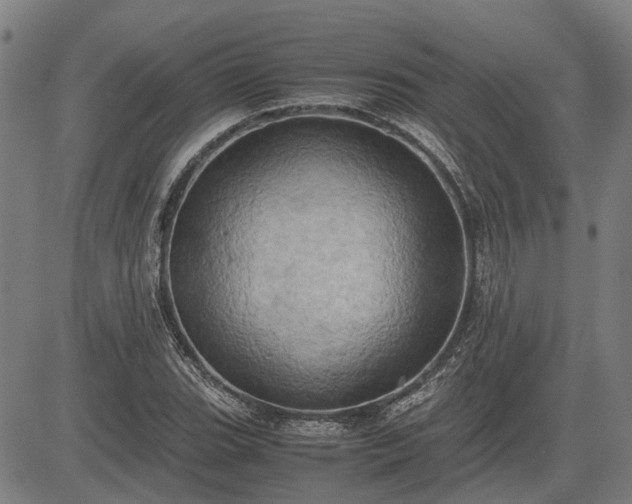 X0000083621119200702201309