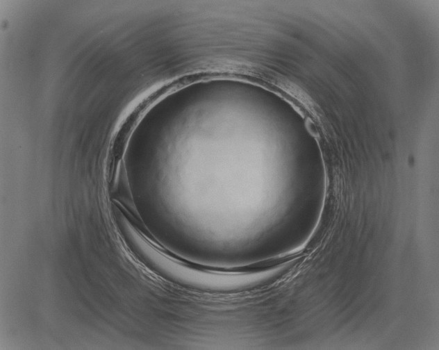 X0000083621120200702201309