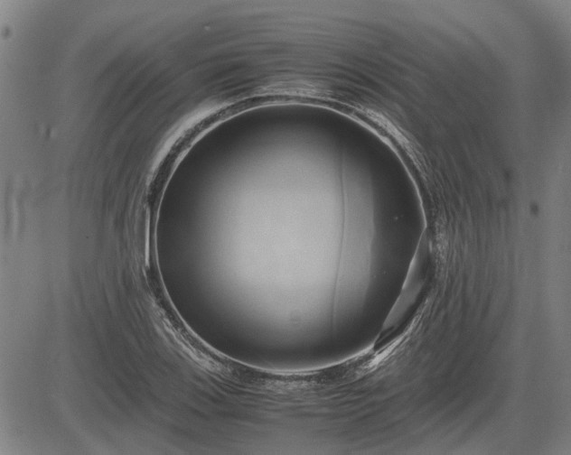 X0000083621123200702201309