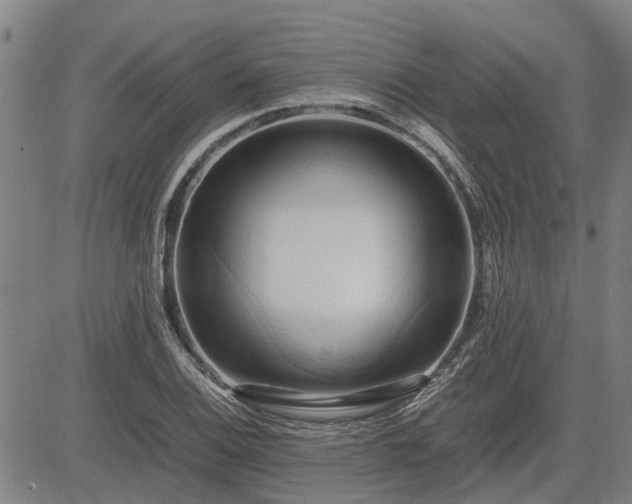 X0000083621124200702201309