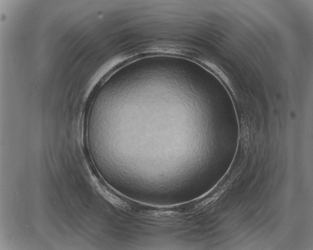 X0000083621131200702201309