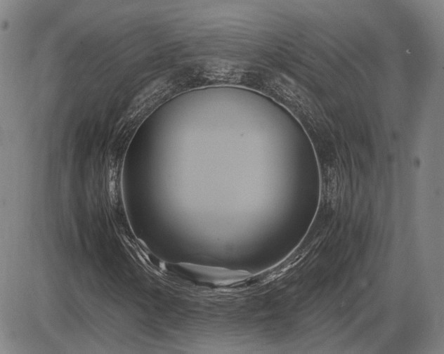 X0000083621154200702201308