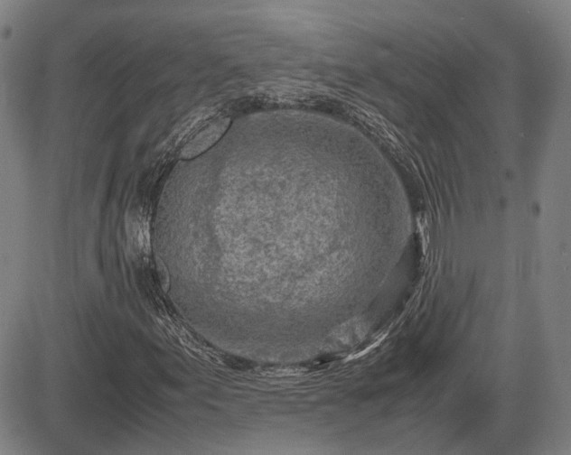X0000083621155200702201308