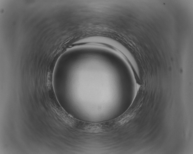 X0000083621156200702201308