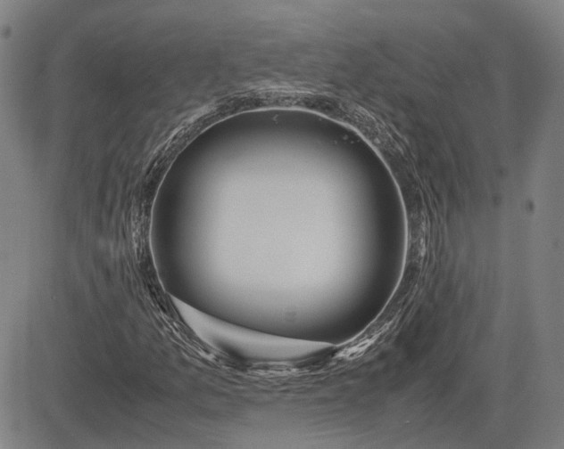 X0000083621157200702201308